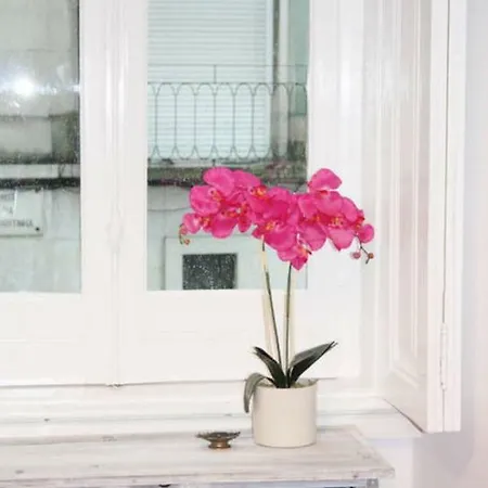 Apartamento Spacious And Elegant Family - Bp1 *